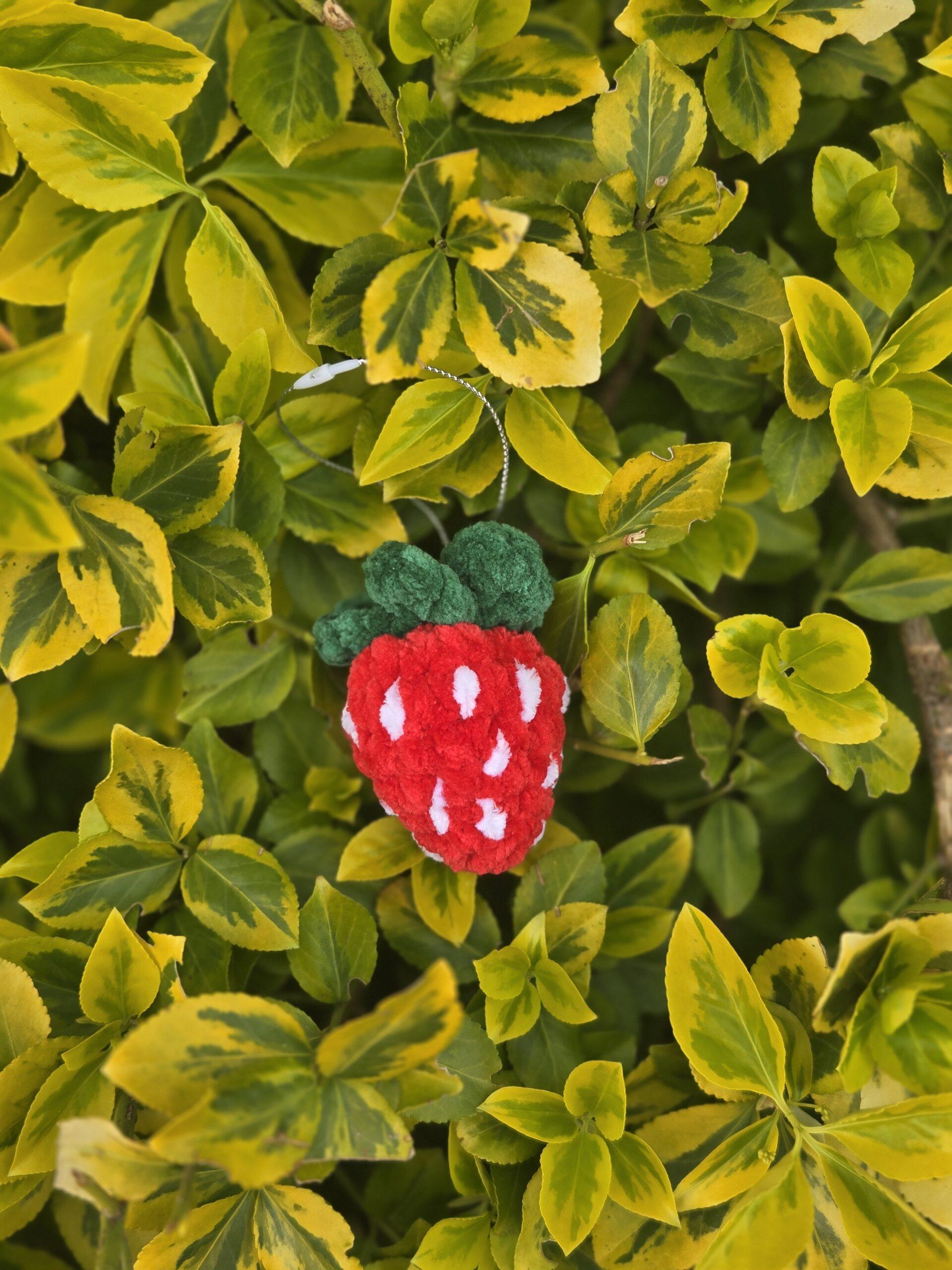 FRAISE β Image 4