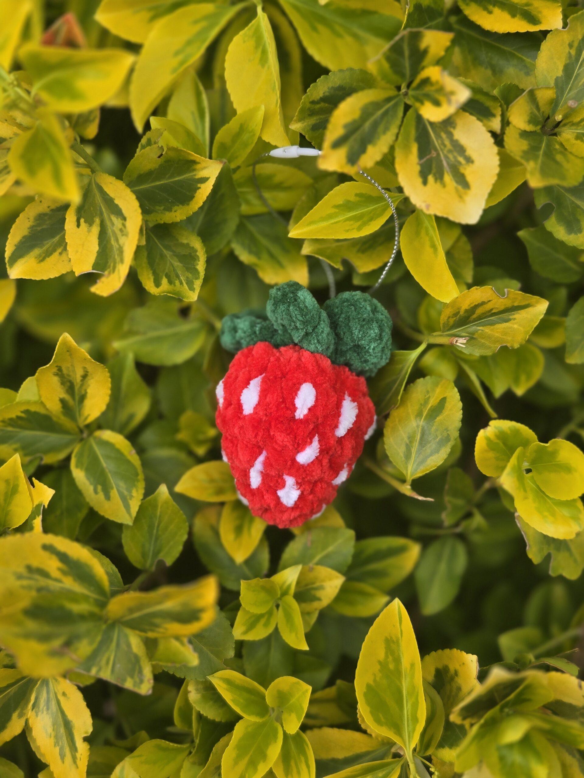 FRAISE β Image 5