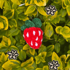 FRAISE