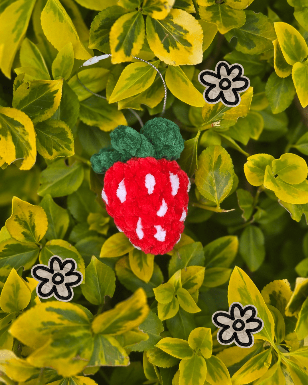 FRAISE