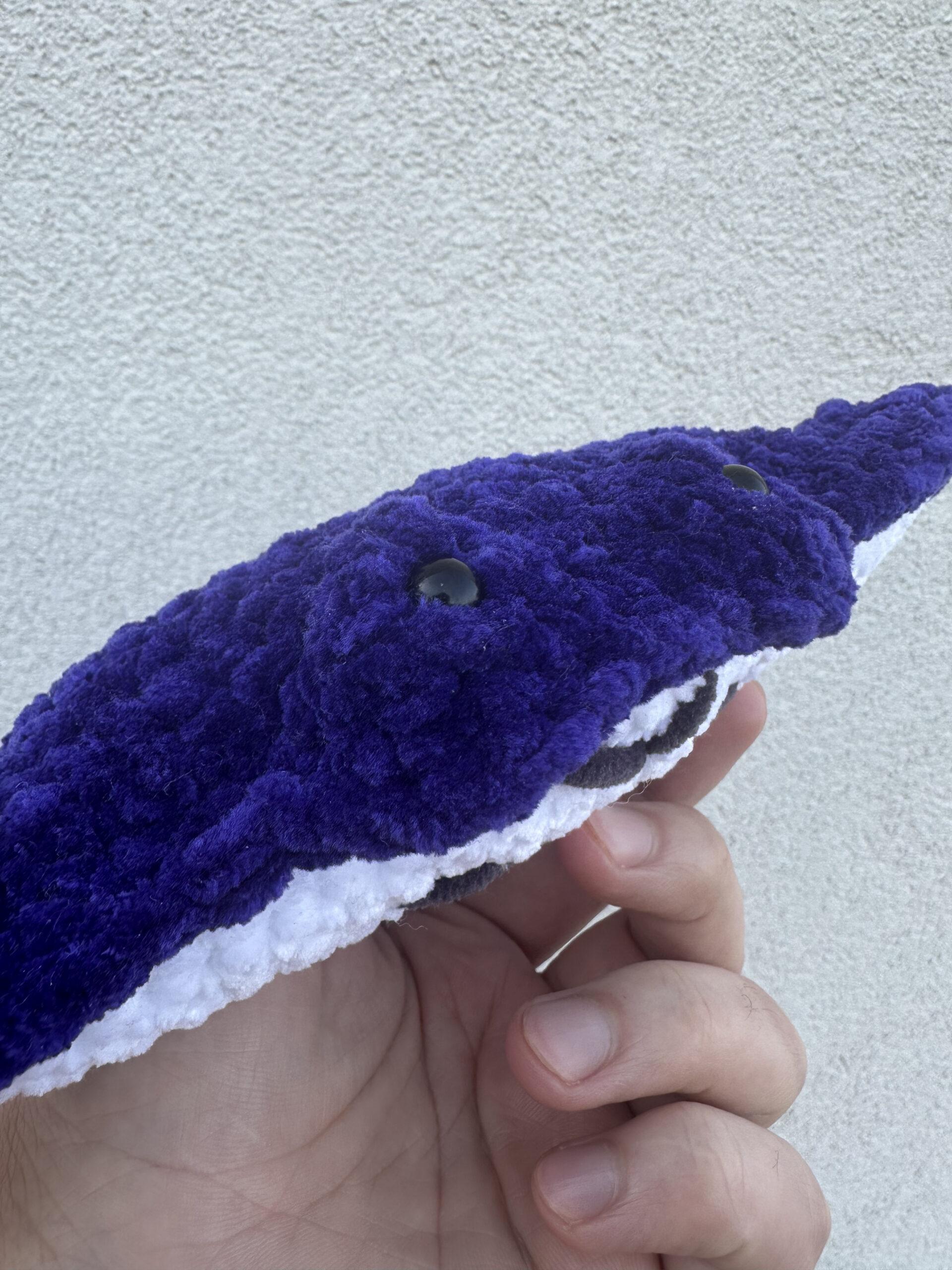 Raie Manta โ Image 7
