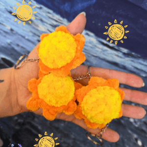 SOLEIL