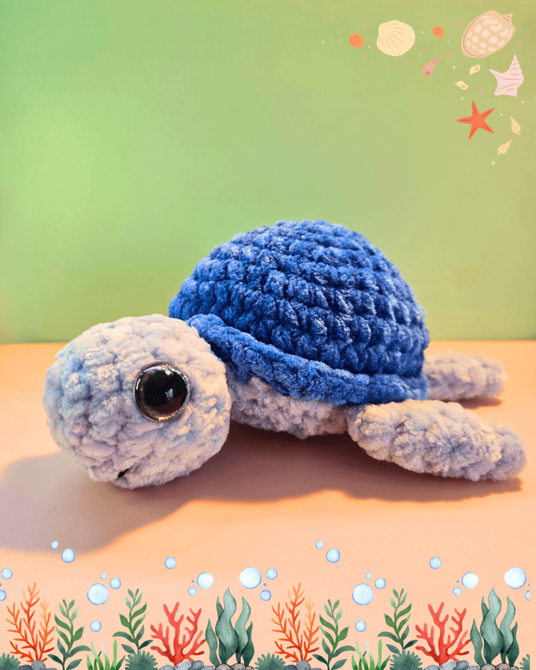 Tortue โ Image 5