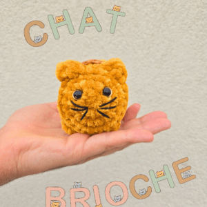 Caramel le chat-brioche